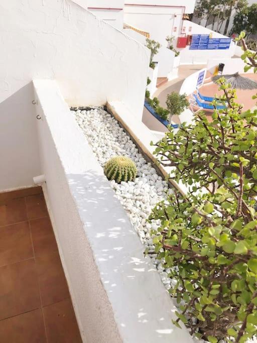 Apartamento Lucia Garden City Con Piscina Climatizada Плайя-Фаньябе Экстерьер фото